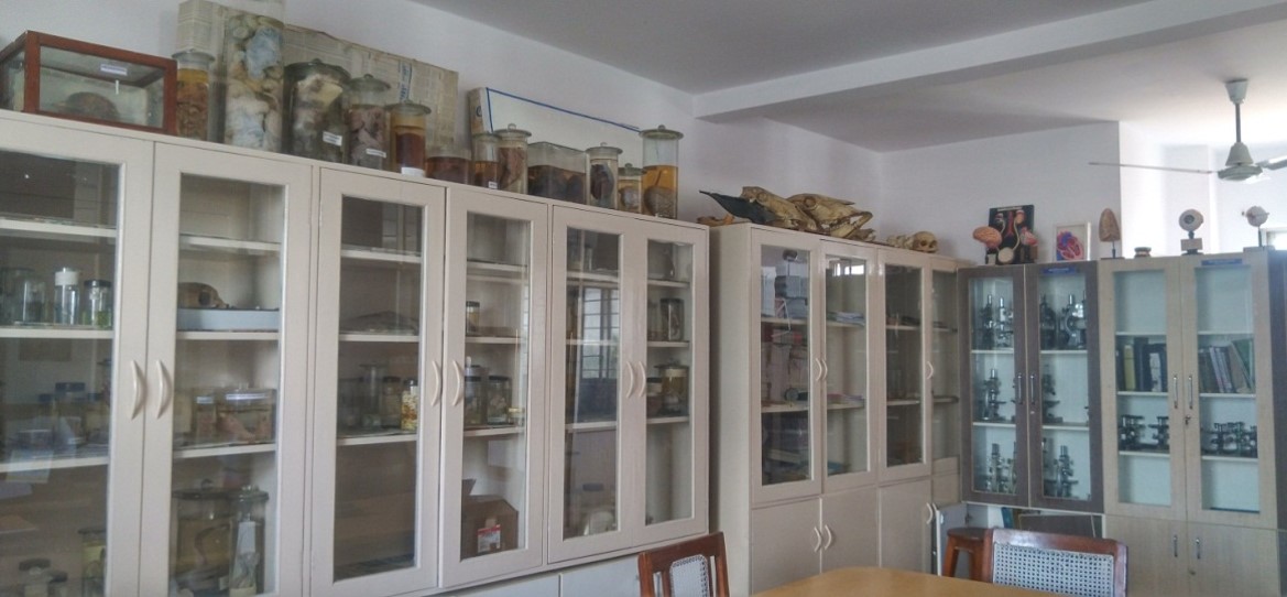 MES College of Arts, Commerce and Science